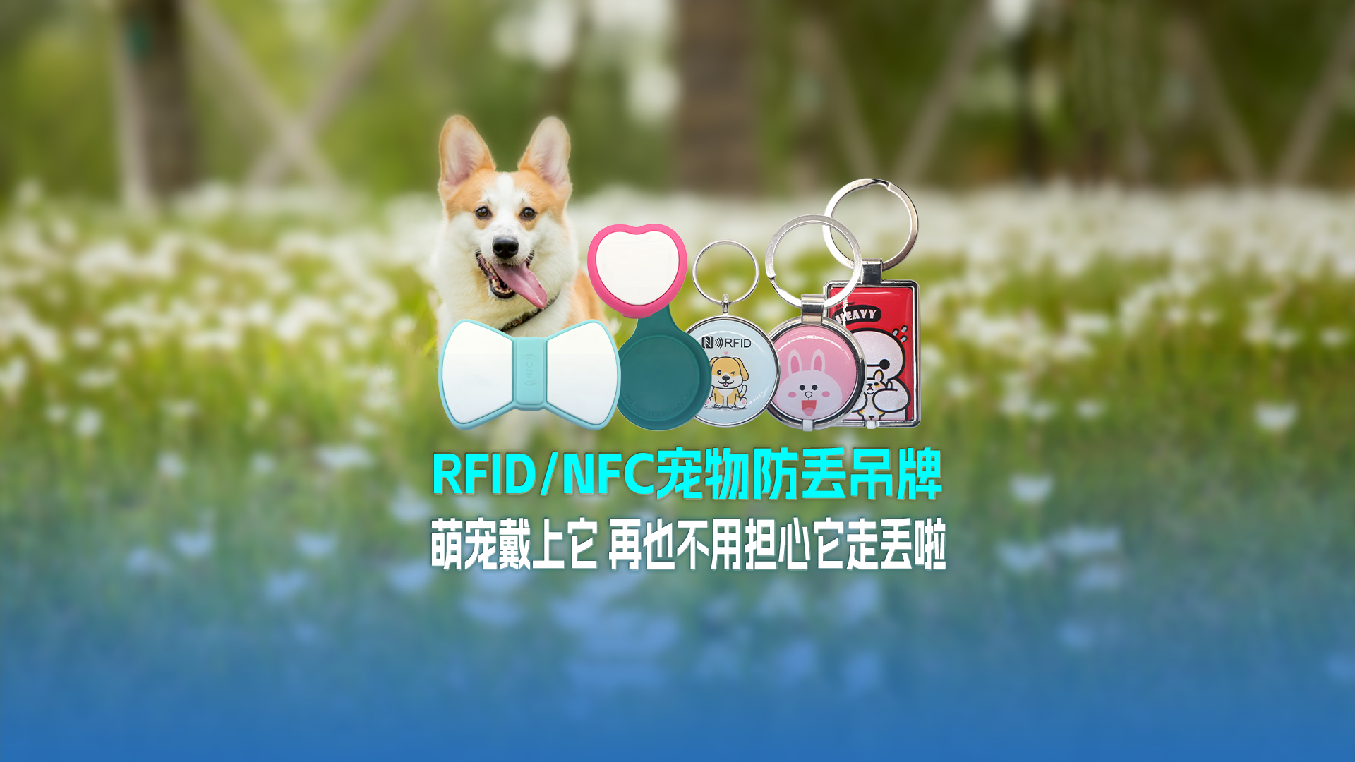 金沙8087集团RFID宠物防丢吊牌：萌宠戴上它 再也不用不安它走丢啦